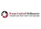 wasp removal Melbourne