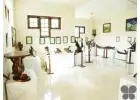 Top Museums in Kottayam – Visit Bay Island Driftwood Museum