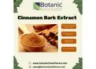 Powerful Cinnamon Bark Extract for Wellness