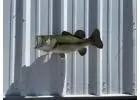 Largemouth bass replica