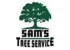 Tree Stump Removal Rohnert Park