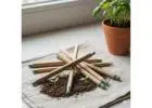 Seed Pens & Plantable Pencils – Sustainable Eco-Friendly Stationery