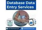 Best Database Data Entry Services in India