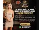 Are You Looking for a Genuine Online Cricket ID? – Amiribook
