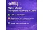 Professional WordPress Developer in Delhi for Custom Websites