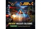 A Digital Shield: Advanced Technology to Stop Animal Road Deaths