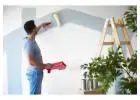 Best Painter in Haile Plantation