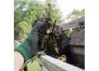 Best service for Gutter Cleaning in Bracken Ridge