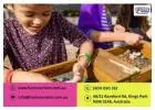 Engage Your Students with Exciting School Incursions in Sydney