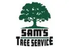 Tree Service Santa Rosa