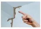 Best Termite Inspections in Moodlu