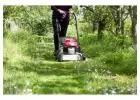 Best Lawn Mowing service in Orakei