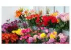 Best Flowers shop in Ponsonby