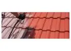 Commercial Roof Cleaning Contractor Riversdale