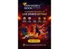 Stay Updated with Live Sports on Mahadev Book