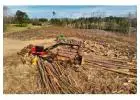 Best Lot Clearing Contractor in Plantation