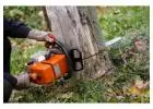 Best Tree Removal Service in Mid West