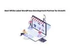 Best White Label WordPress Development Partner for Growth