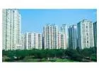 Sobha Rivana Floor Plans - Flats in Noida Extension