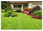 Best Lawn Care in Appleton