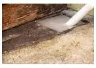 Best service for Blocked Drains in Minchinbury