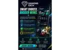 Diamond Exch – Digital Platform with Sports and Gaming Features