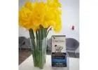 Our Chiro Brisbane