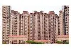 Amrapali Golf Homes Noida Extension | Affordable Flats for Sale with Modern Amenities