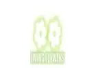 Same Day Flower Delivery  Broadmeadows - Living Flowers