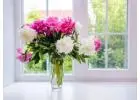 Best Fresh Flowers shop in Maudsland