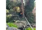 Best Tree Pruning service in Sheidow Park