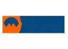 WEB DESIGN PAKISTAN | PROFESSIONAL WEB DEVELOPMENT PAKISTAN SERVICES