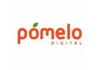 Leading Creative Branding & Digital Marketing Agency in Gurgaon | Pomelo Digital