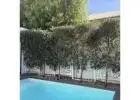 Get the Perfect Faux Olive Tree for Your Decor