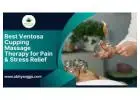 Best Ventosa Cupping Massage Therapy for Pain & Stress Relief