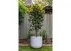 Artificial Bamboo Options That Add Height and Elegance Anywhere