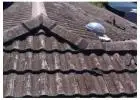 Roof specialist SA