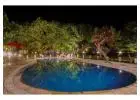 Why Smart Travelers Are Choosing Tripp Corbett Among the Best Riverside Resorts in Jim Corbett