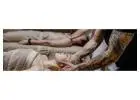 Derive our hands-on practical course to become Hawaiian Healers Oahu