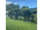 Best Lawn Mowing service in Diddillibah
