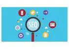 Professional SEO Experts India