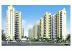 Flats in Amrapali Verona Heights