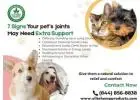 CBD for Pets – Natural Wellness Support for Dogs & Cats