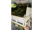 Best Green Waste Removals in Eumundi