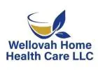 Compassionate Elder Care Services in West Palm Beach| Wellovah Home Health Care