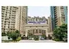 What is the current starting price for a new booking or fresh allotment in Amrapali Sapphire, Secto