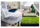 SBI Software: Find Best Nursery Business Software & Greenhouse ERP Here