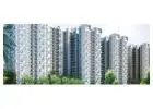 What is the total number of flats in Amrapali O2 Valley ,echzone 4 and across how many acres is the