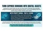 Turn Expired Domains Into Digital Assets