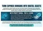 Turn Expired Domains Into Digital Assets -FL